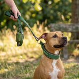 Green Martingale Collar||size:A,B,C,D,E