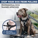 Black Harness||size:S,M,L