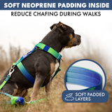 Lime Wave Harness||size:S,M,L