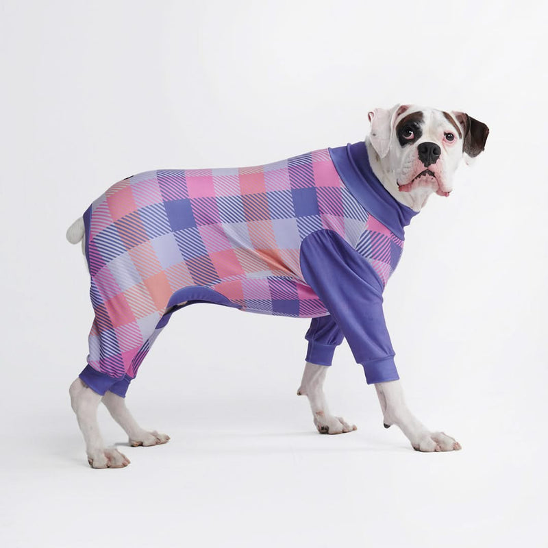 Pigiama per Cani - Plaid Viola