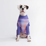 Pigiama per Cani - Plaid Viola