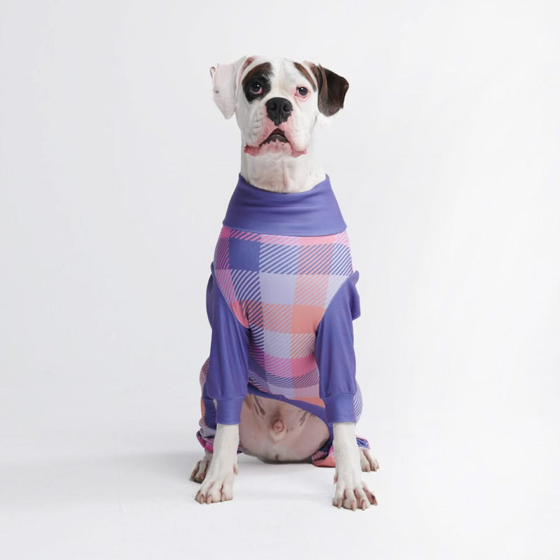 Pigiama per Cani - Plaid Viola