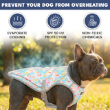 Popsicle Cooling Vest||size:S,M,L,XL,2XL,3XL,4XL