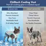 Popsicle Cooling Vest||size:S,M,L,XL,2XL,3XL,4XL