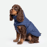 Blue Quilted Winter Jacket||size:XL