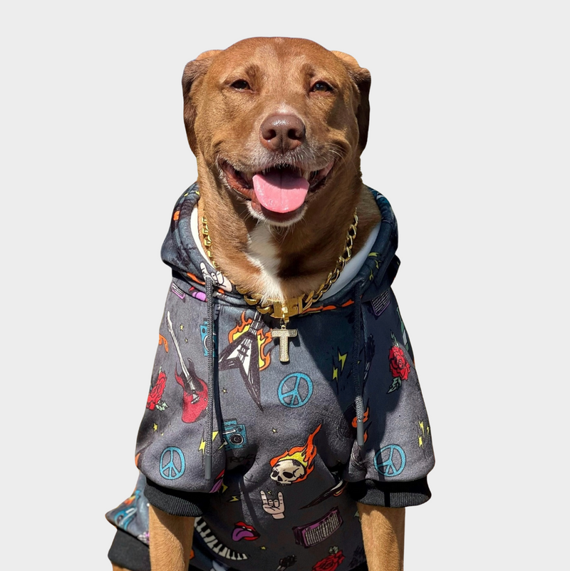 Rock and Roll Felpa per Cane