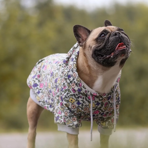 Felpa Vintage Flower per Cane - Grigio Chiaro