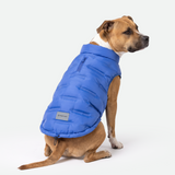 Blue Thermosonic Winter Jacket||size:3XL