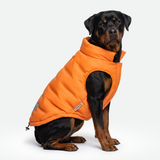 Orange Thermosonic Winter Jacket||size:4XL
