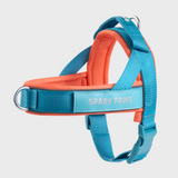 Teal Apricot Grab and Go||size:1,2,3,4,5,6