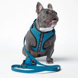 Pettorina per Cani Yogawear - Blu