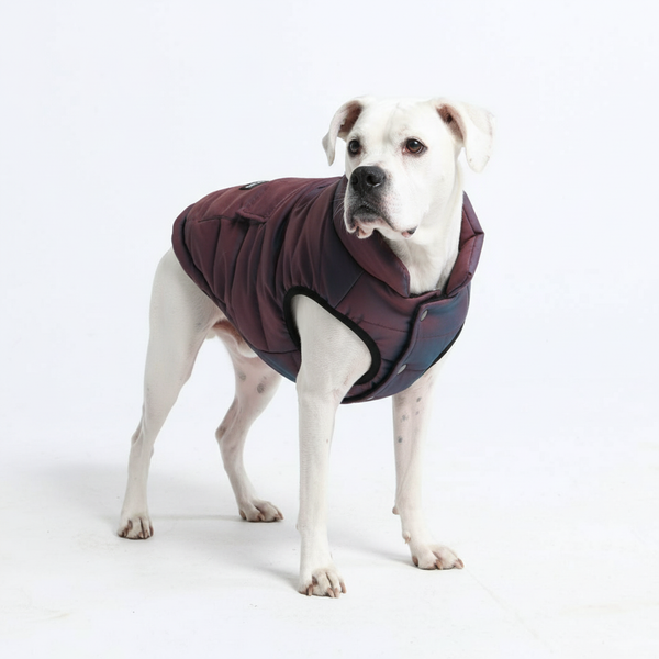 Giacca impermeabile WarmShield - Cosmic