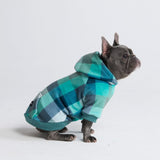 Maglione in Velluto per Cani - Turchese a Quadri