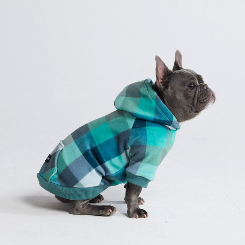 Maglione in Velluto per Cani - Turchese a Quadri