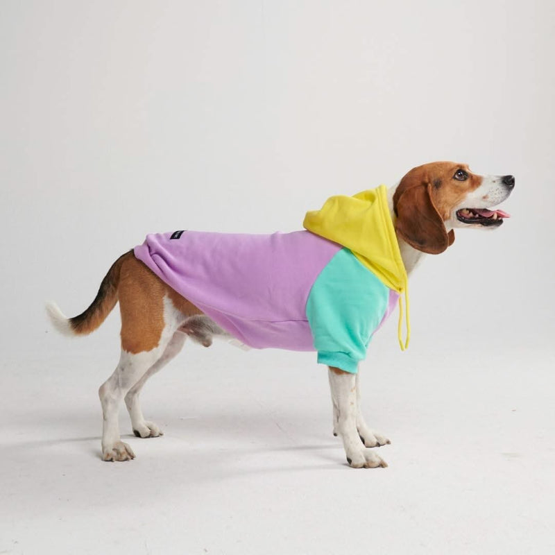 Maglione per Cani - Turchese viola giallo