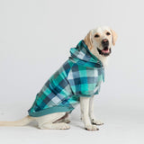 Maglione in Velluto per Cani - Turchese a Quadri