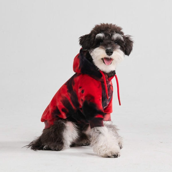 Maglione in Velluto per Cani - Rosso e Nero