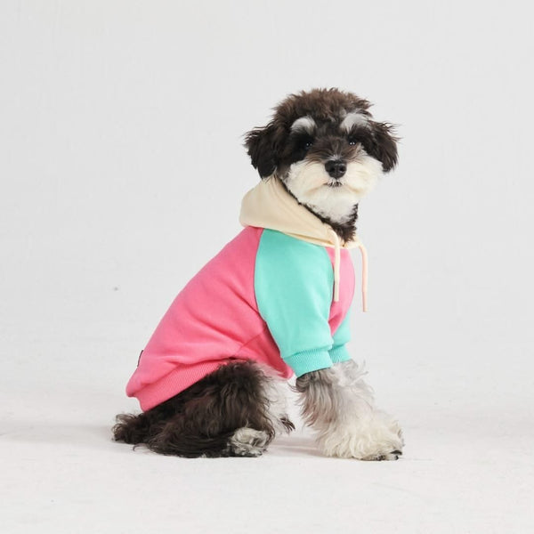 Maglione per Cani - Crema rosa turchese