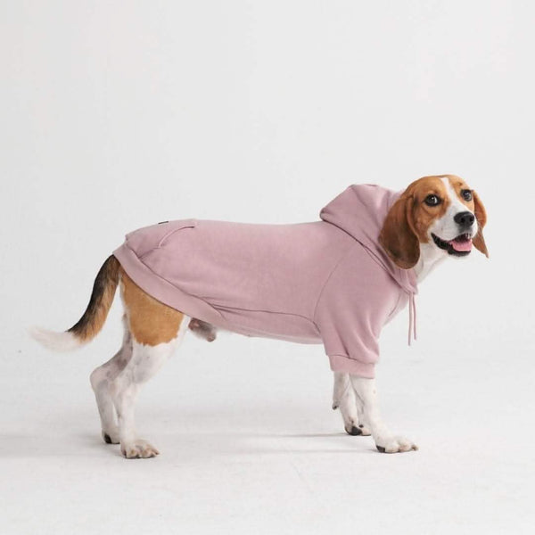 Maglione Essenziale per Cani - Lilla Talpa