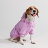 Maglione Essenziale per Cani - Orchidea