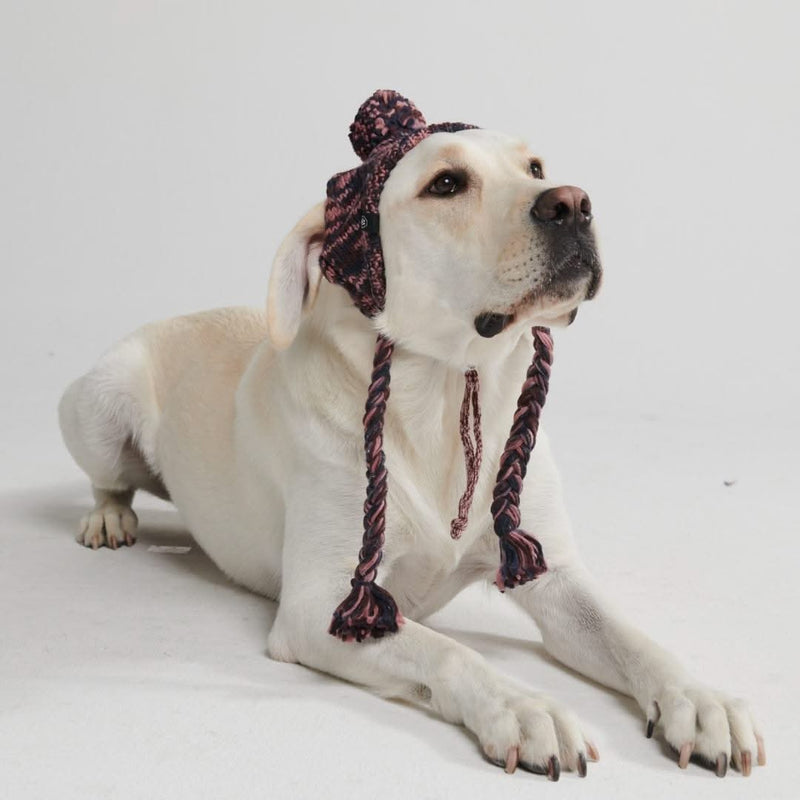 Cappello per cani Pom Pom in Maglia