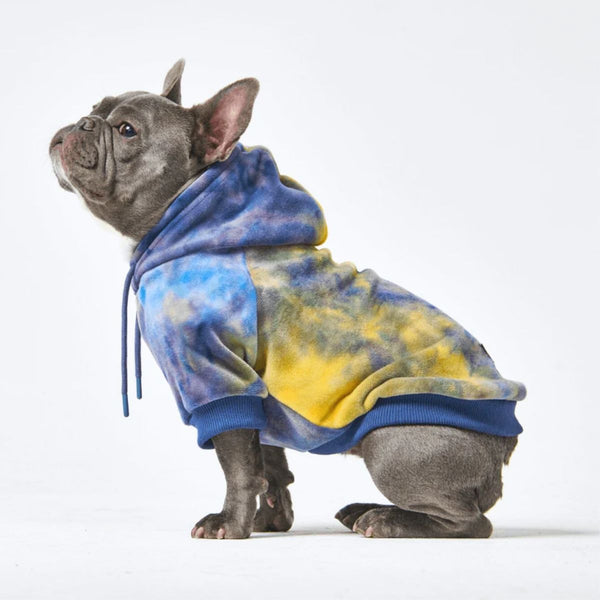 Maglione in Velluto per Cani - Nova