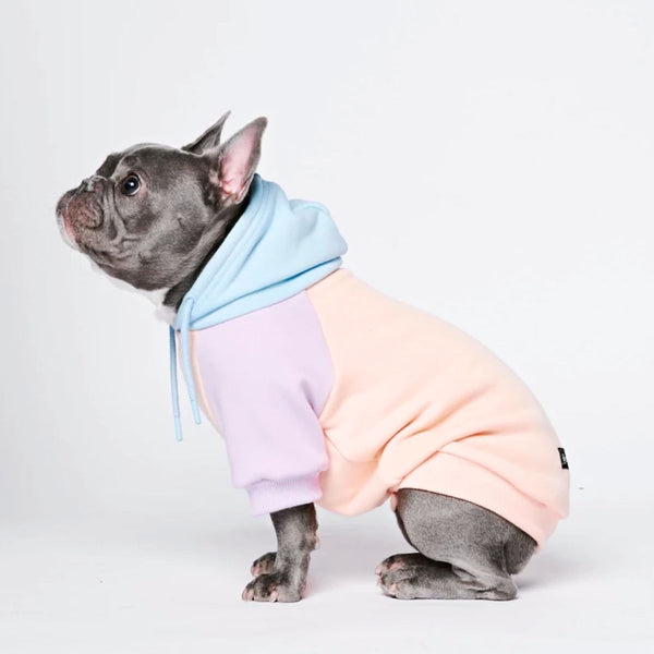 Maglione per Cani - Zucchero filato