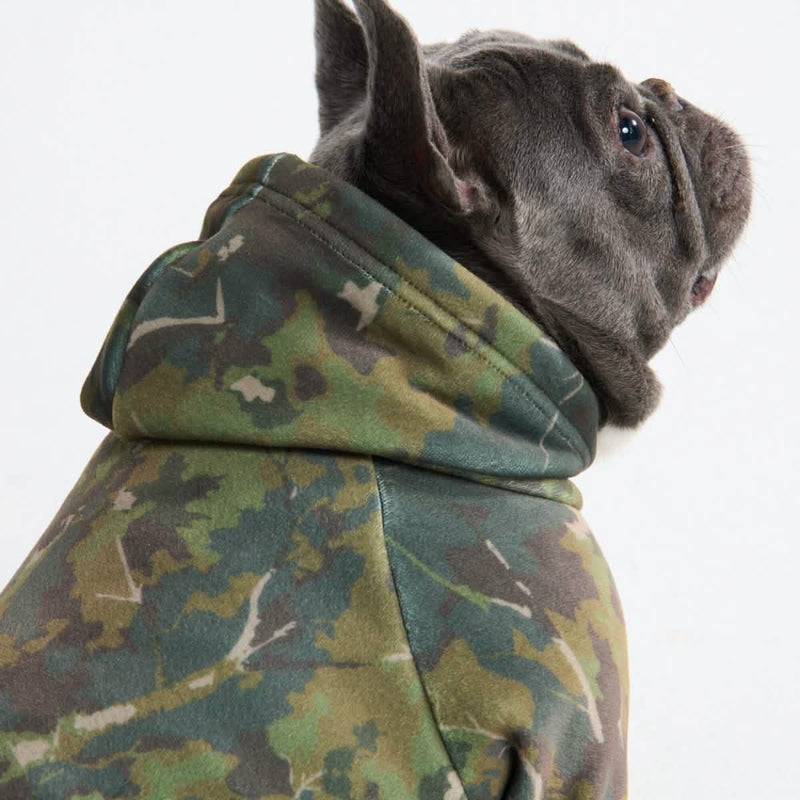 Felpe Concrete Wood per cani – Muschio