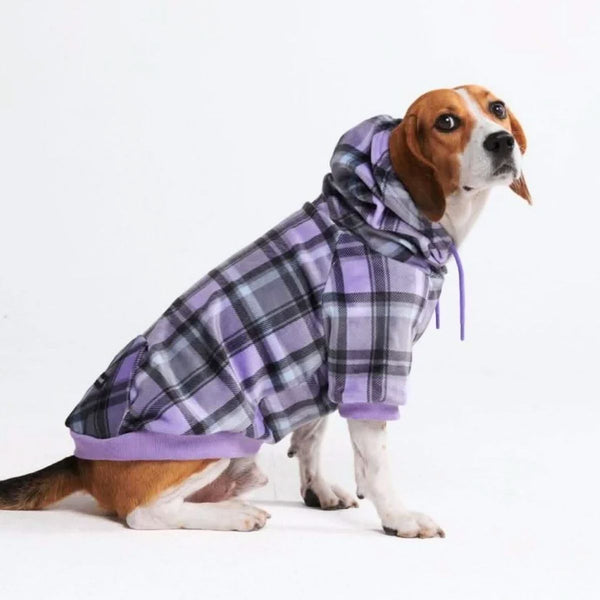 Maglione Plaid per Cani - Quadretti viola