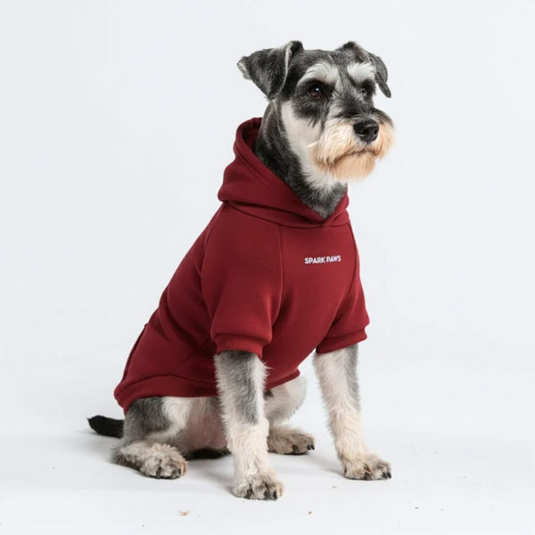 Maglione Essenziale per Cani - Bordeaux