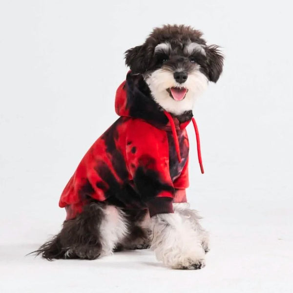 Maglione in Velluto per Cani - Rosso e Nero