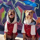 Giacca universitaria per cani - Rossa