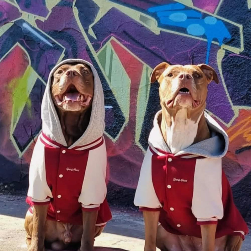 Giacca universitaria per cani - Rossa