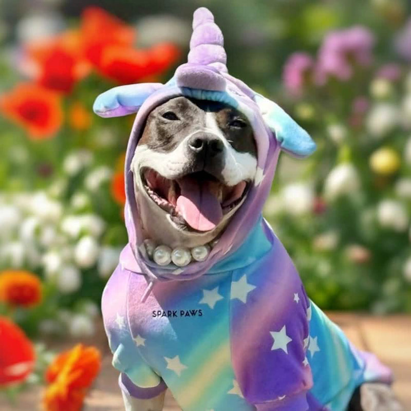 Felpa di Halloween per adulti - Unicorno