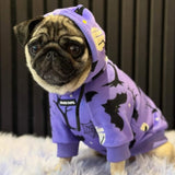 Felpa con cappuccio per cani di Halloween - Viola
