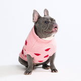 Maglione a maglia per cani – Cuori