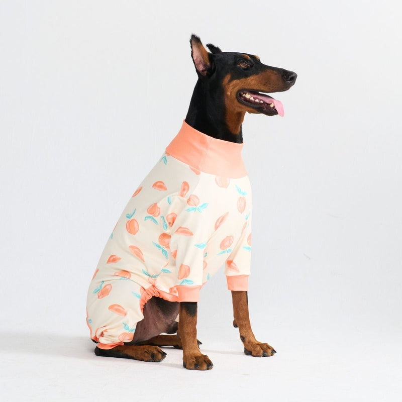 Pigiama per Cani - Pesche