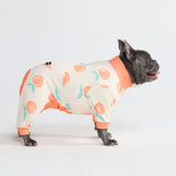 Pigiama per Cani - Pesche