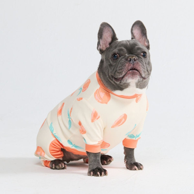Pigiama per Cani - Pesche