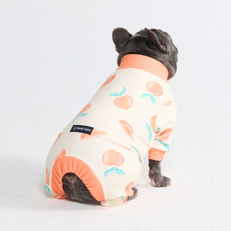 Pigiama per Cani - Pesche