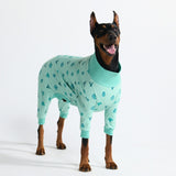 Pigiama per Cani - Cactus
