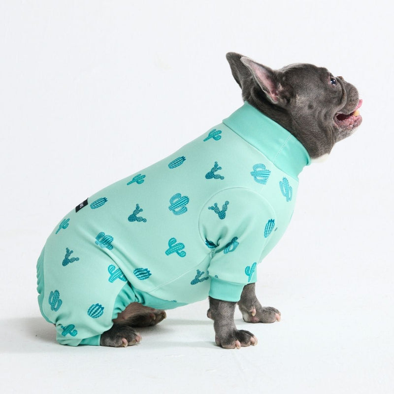 Pigiama per Cani - Cactus