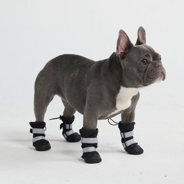 Stivali per cani resistenti all'acqua con struttura flessibile - Nero