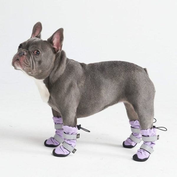 Stivali per cani resistenti all'acqua con struttura flessibile - Lilla