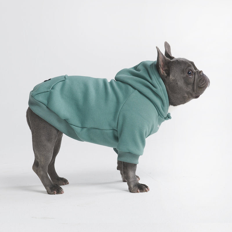 Maglione Essenziale per Cani - Turchese