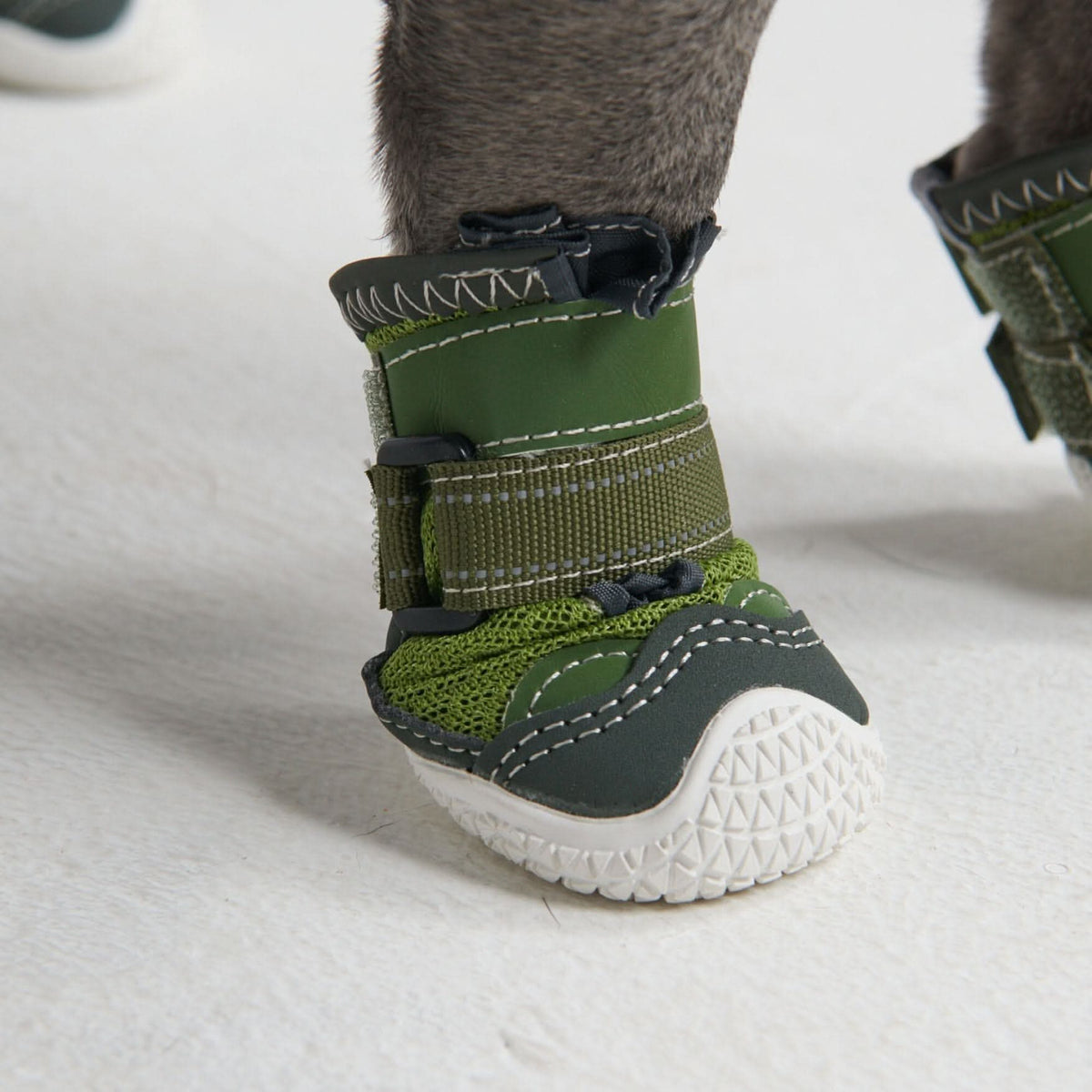 4 Scarpe Estive Per Cani Piccoli – Traspiranti, Antiscivolo, Suola In Gomma – Proteggono Le Zampe Da Asfalto Caldo E Superfici Ruvide