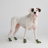 Scarpe per cani Hot Pavement Pawtector - Verde