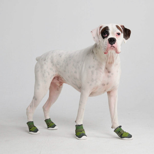 Scarpe Stivali Per Cane Scarpe Per Cani Hot Pavement Pawtector