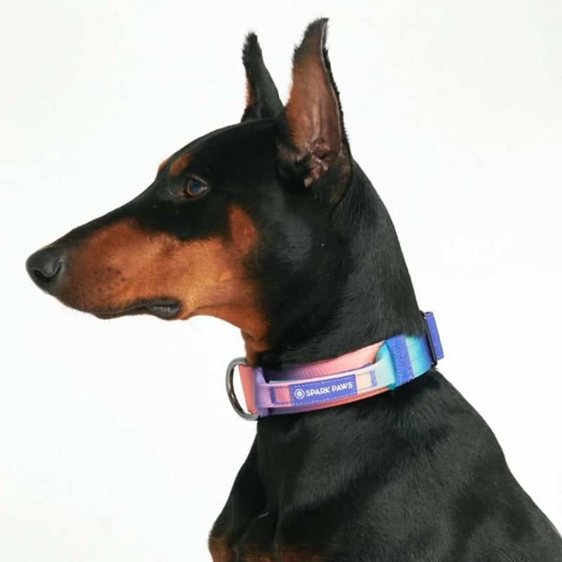 Collare tattico per cani - Caleidoscopio