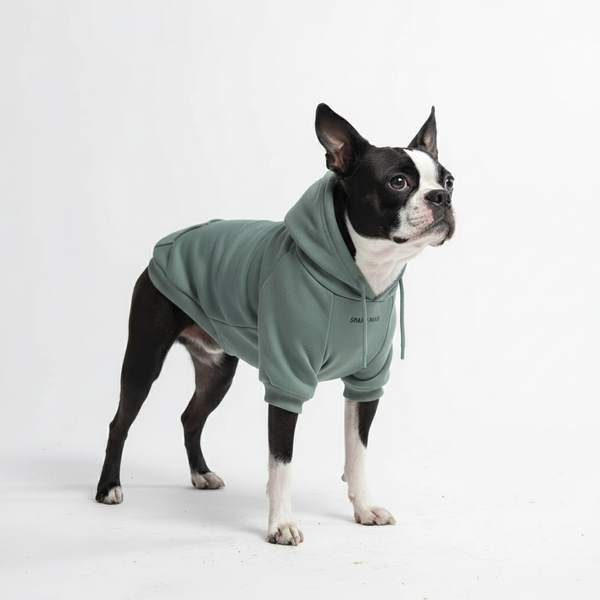 Maglione Essenziale per Cani - Turchese